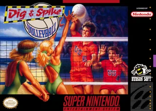 Capa de Dig & Spike Volleyball (EUA)