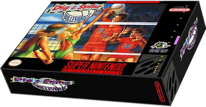 Capa de Dig & Spike Volleyball