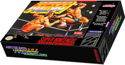 Capa de Natsume Championship Wrestling
