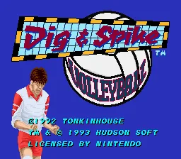 Dig & Spike Volleyball: tela de título