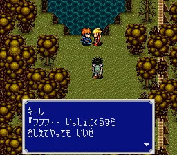Elfaria II - The Quest of the Meld: gameplay
