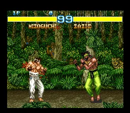 Fighter's History - Mizoguchi Kikiippatsu!!: gameplay