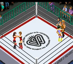 Fire Pro Joshi - All Star Dream Slam: gameplay