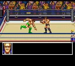 Funaki Masakatsu Hybrid Wrestler - Tougi Denshou: gameplay