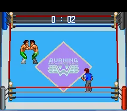 Gekitou Burning Pro Wres: gameplay