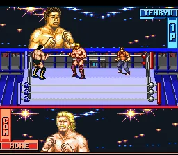 Hammerlock Wrestling: gameplay