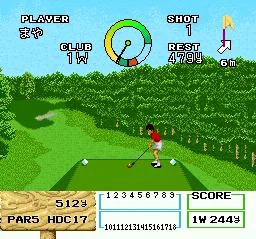 Namcot Open: gameplay