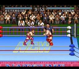 Natsume Championship Wrestling: gameplay