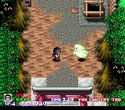 Pocky & Rocky: gameplay