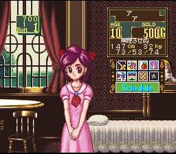 Princess Maker - Legend of Another World: gameplay