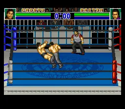 Shin Nihon Pro Wrestling Kounin - '94 Battlefield in Tokyo Dome: gameplay