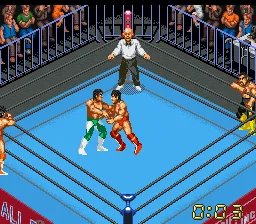 Super Fire Pro Wrestling X: gameplay