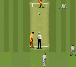 Super International Cricket: gameplay