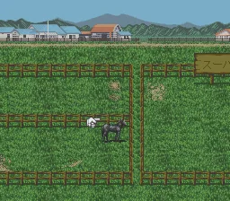 Super Keiba 2: gameplay