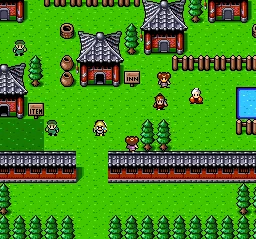 Super Ninja Boy: gameplay