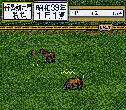 Thoroughbred Breeder II: gameplay