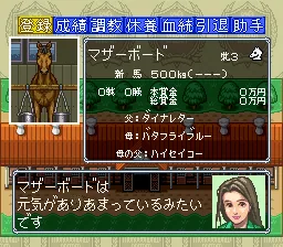 Thoroughbred Breeder III: gameplay