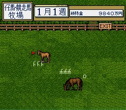 Thoroughbred Breeder: gameplay