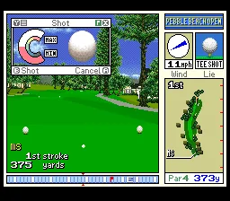 True Golf Classics - Pebble Beach Golf Links: gameplay