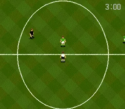 World Cup USA 94: gameplay