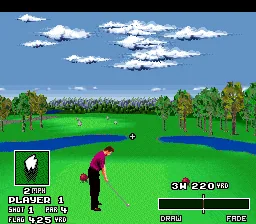 World Masters Golf: gameplay