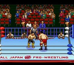 Zen-Nihon Pro Wres 2 - 3-4 Budoukan: gameplay